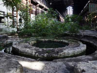 Entrando nell'edificio principale delle acciaierie spunta una vecchia vasca piena d'acqua circondata da verde spontaneo